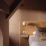 Adam's Museum House מלון